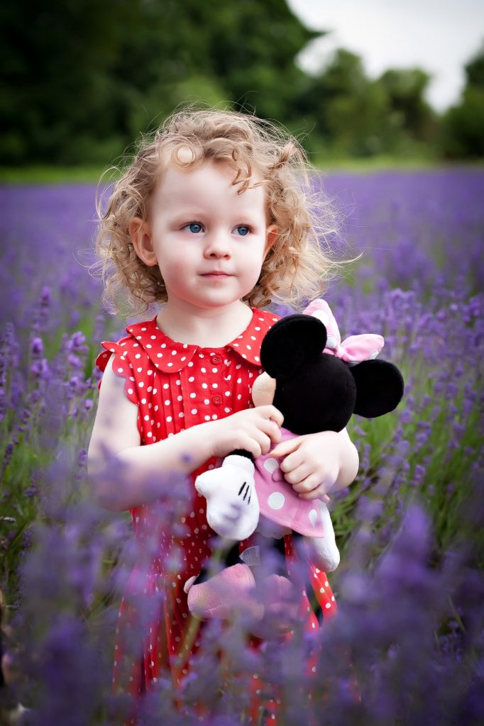 lavender portrait photography